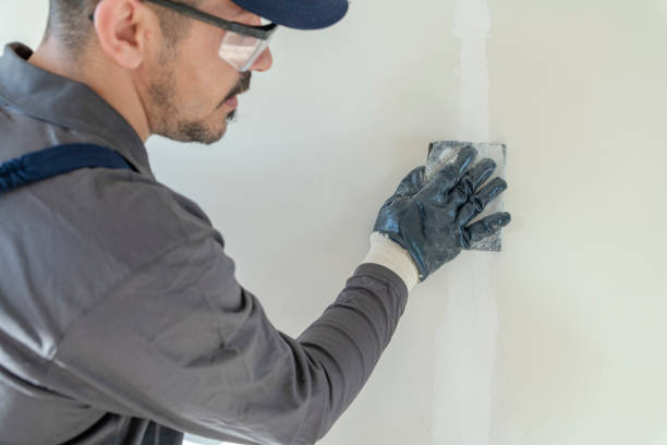 Best Air Quality Testing for Mold Spores  in Plano, TX
